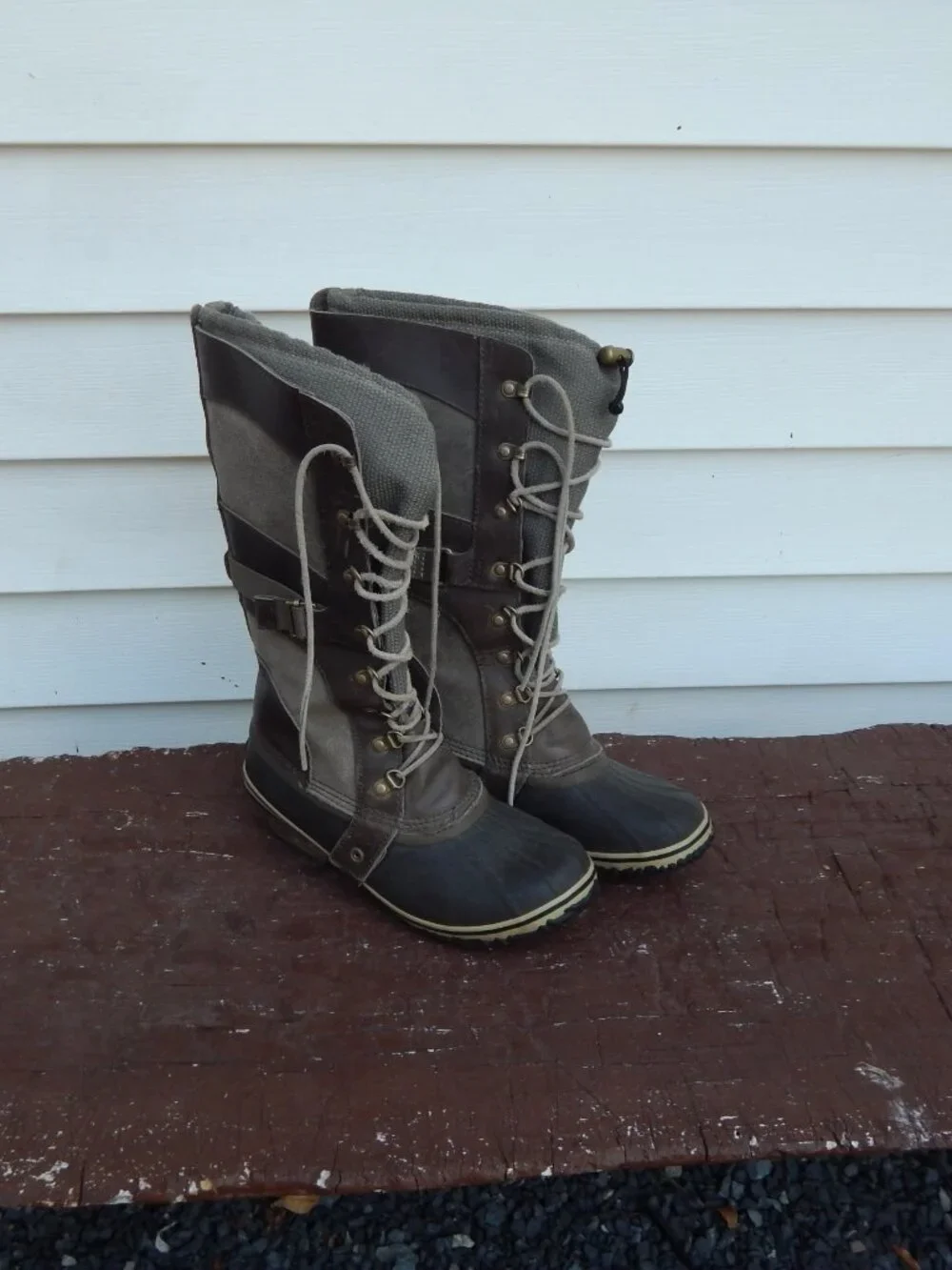 Sorel conquest carly